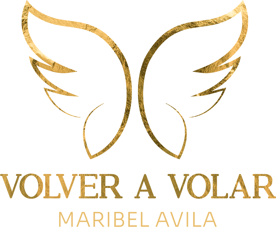 Símbolo de alas de Volver a Volar